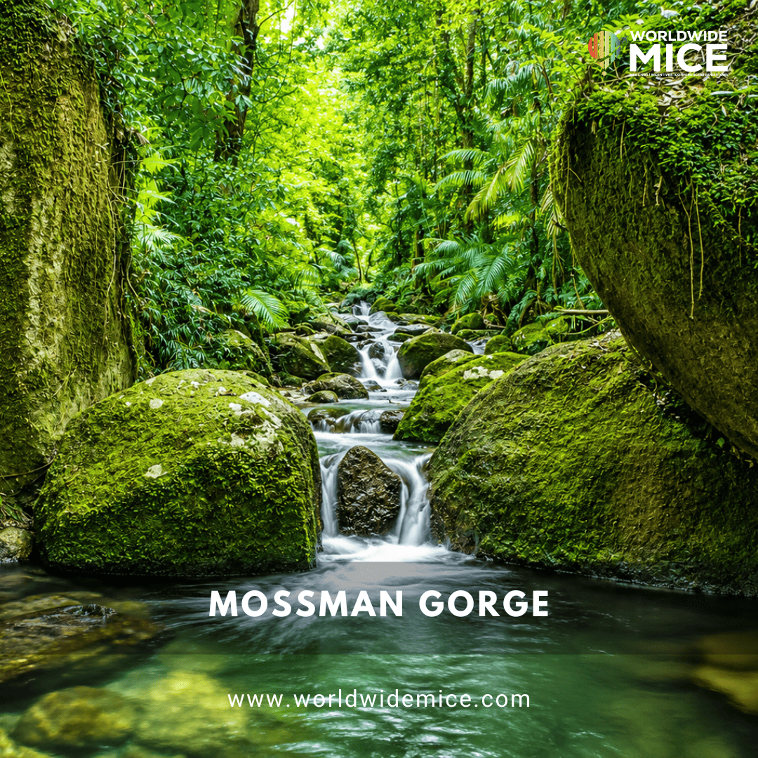 Mossman Gorge